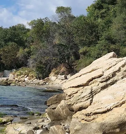 Alex 公寓 圣弗拉斯