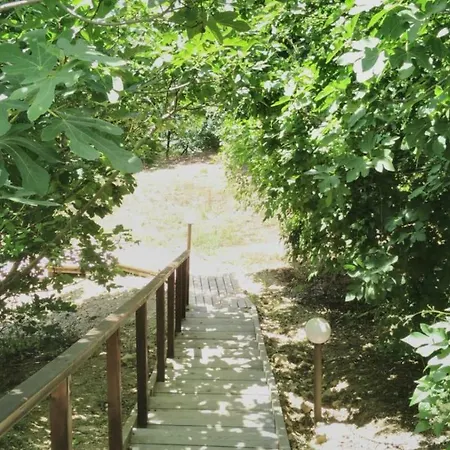 Alex 公寓 圣弗拉斯