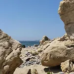 Alex Sveti Vlas