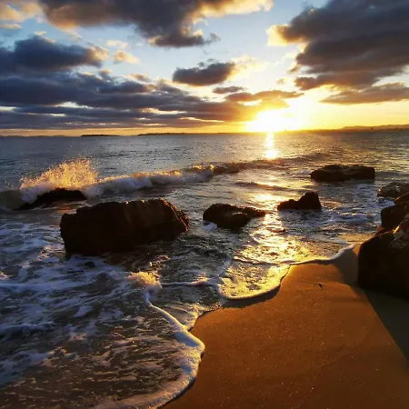 Alex Апартаменты *