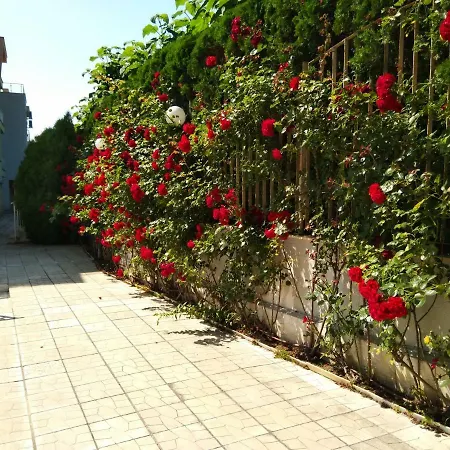Alex * Sveti Vlas