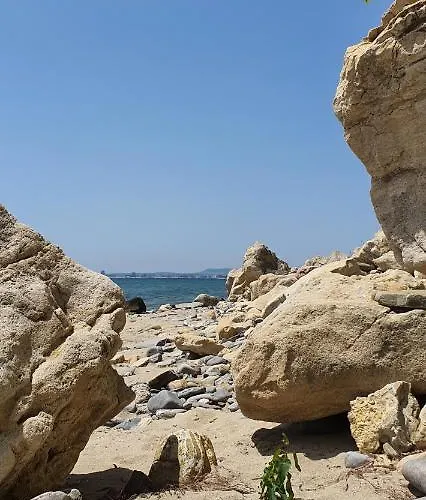 Alex Свети Влас