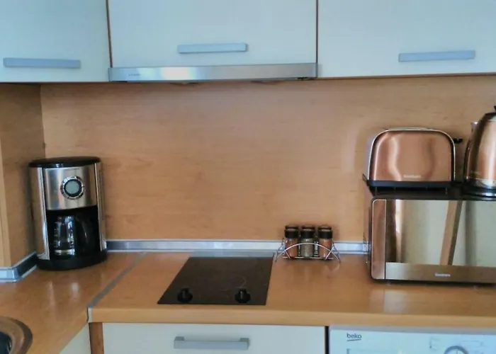 Апартамент Alex *