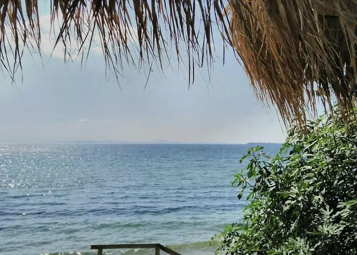 Alex * Свети Влас