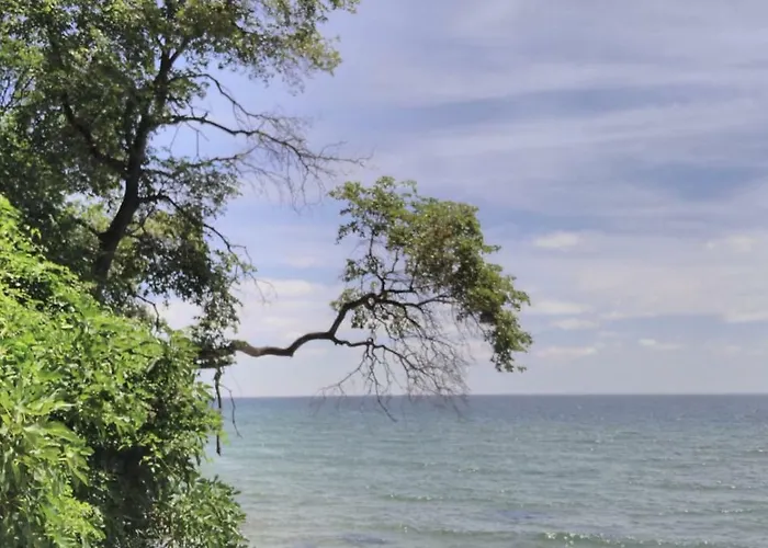 Апартамент Alex *