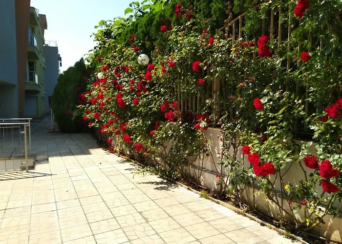 Alex * Свети Влас