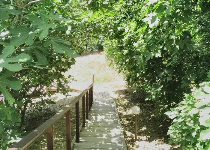 Alex Апартамент Свети Влас