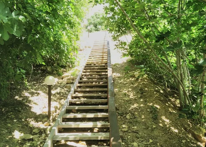 Alex * Свети Влас